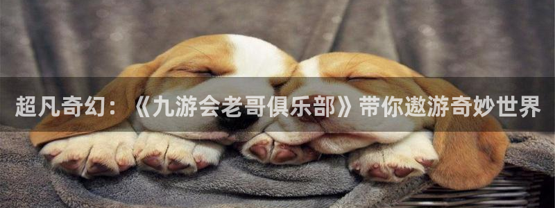 恒行充值怎么退款