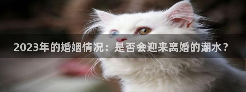 恒行,apk.：2023年的婚姻情况：是否会迎来离婚的潮水？