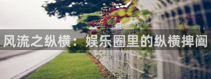 恒行下载
