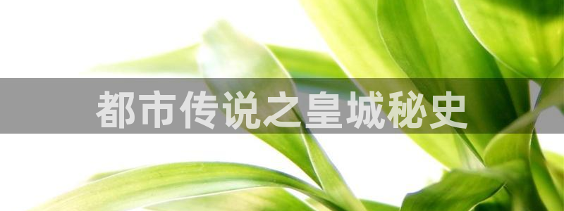 恒行网站