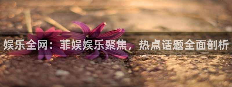 恒行平台app下载