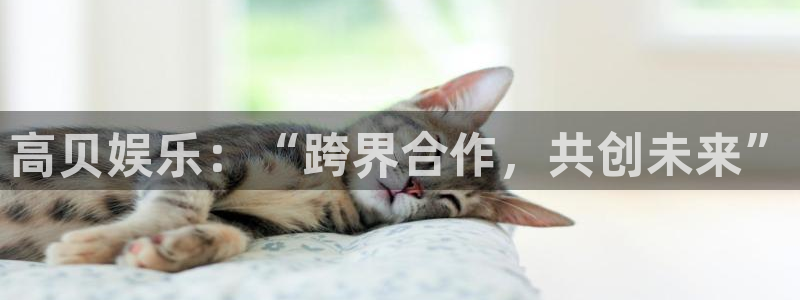 恒行 - ng大舞台,有梦你就来