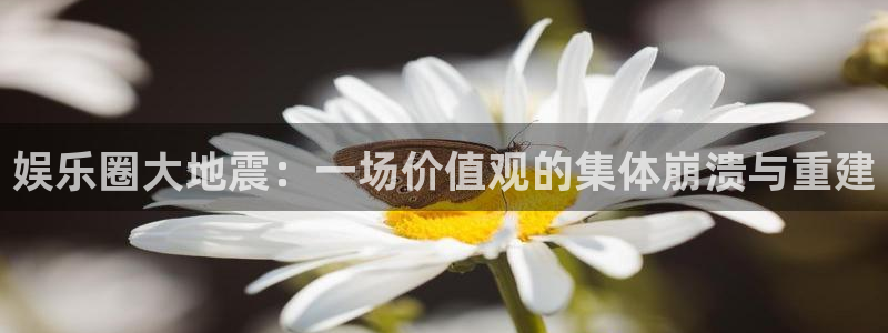 壹号大舞台官网入口