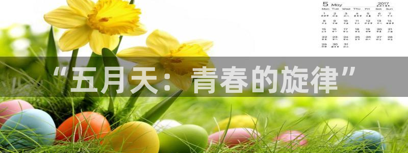壹号app下载
