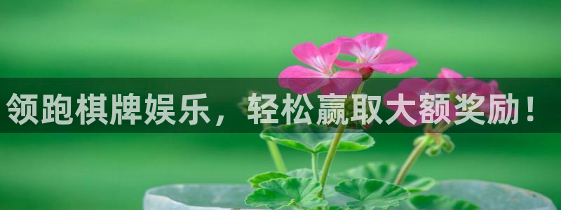 壹号app下载官方网站：领跑棋牌娱乐，轻松赢取大额奖励！