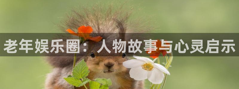 恒行强制退款流程详解：老年娱乐圈：人物故事与心灵启示