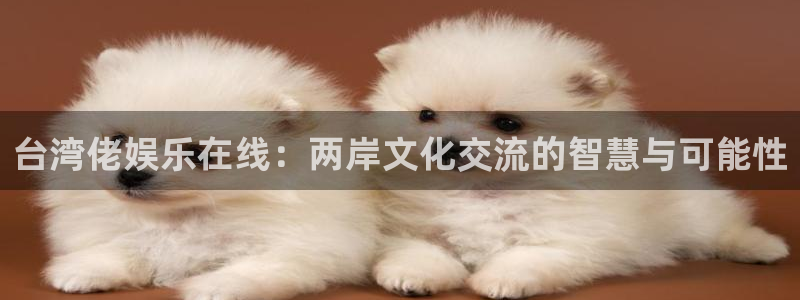 壹号电子娱乐app下载安装最新版本：台湾佬娱乐在线：两岸文化交流的智慧与可能性