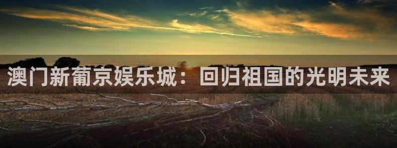恒行(com.youad.authst)：澳门新葡京娱乐城：回归祖国的光明未来