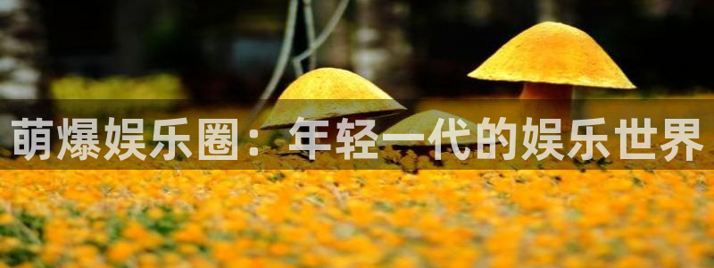 壹号电子娱乐app下载最新版本：萌爆娱乐圈：年轻一代的娱乐世界