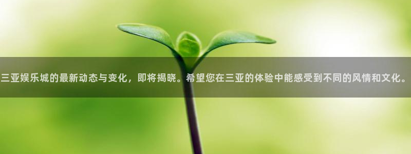 恒行app下载地址：三亚娱乐城的最新动态与变化，即将揭晓。希望您在三亚的体验中能感受到不同的风情和文化。