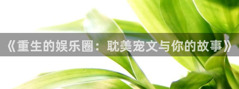 壹号注册入口app下载：《重生的娱乐圈：耽美宠文与你的故事》