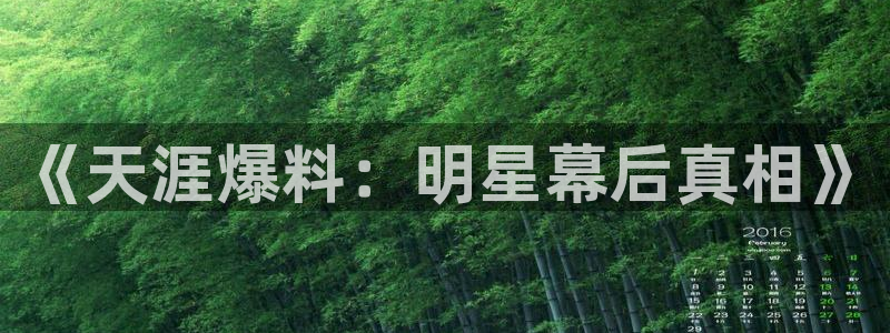 壹号大舞台：《天涯爆料：明星幕后真相》