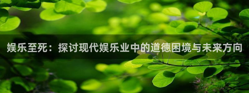 壹号电子娱乐app下载安装最新版本：娱乐至死：探讨现代娱乐业中的道德困境与未来方向
