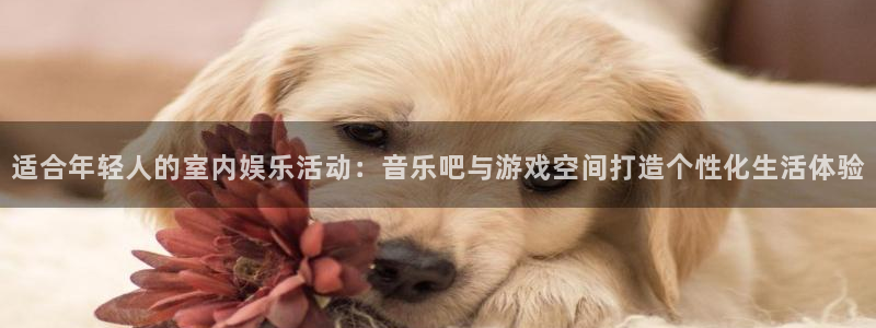 壹号电子娱乐app下载最新版本：适合年轻人的室内娱乐活动：音乐吧与游戏空间打造个性化生活体验